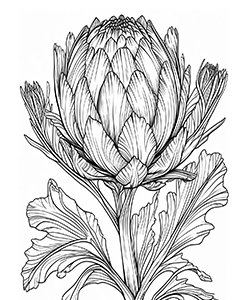artichoke for adults