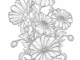 daisies