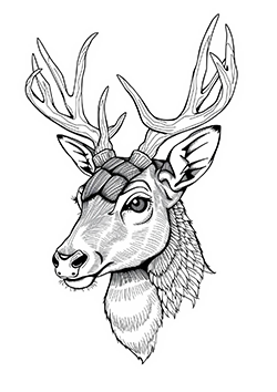 majestic deer