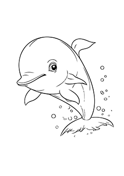 dolphin minikids
