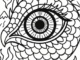 dragon eye