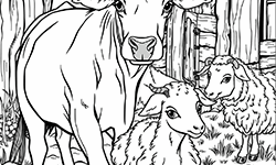 the farm