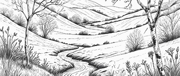 landscape for seniors