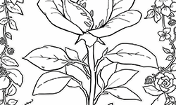 rose and flowers
