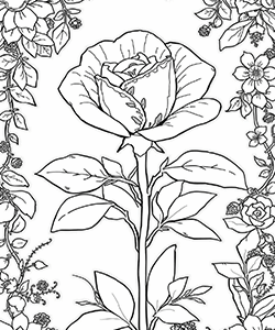 rose and flowers