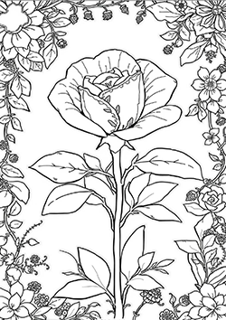 rose and flowers