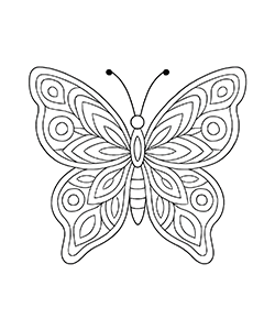 geometric for kids