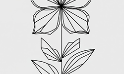 geometric for kids