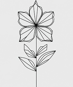 geometric for kids