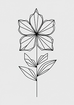 geometric for kids