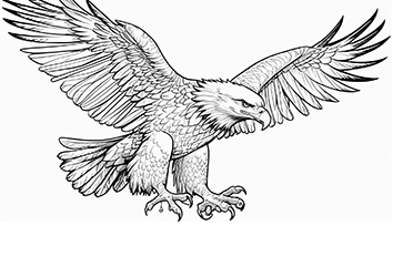 hawk