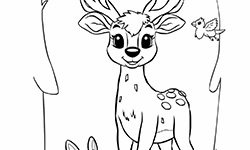 forest animals