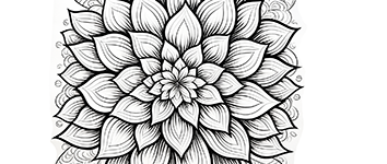 mandala adultos