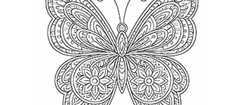 mandala para ancianos
