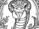 snake for youth
