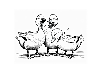 ducklings