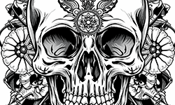 skull