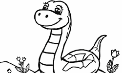 Snake in the sun