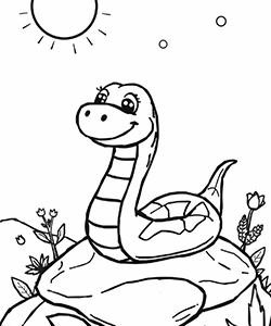 Snake in the sun