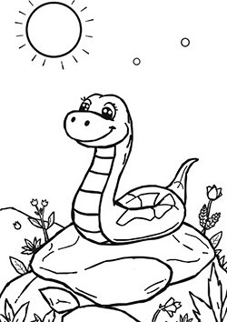Snake in the sun
