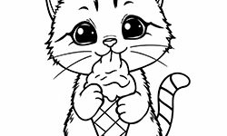 cat with ice cream