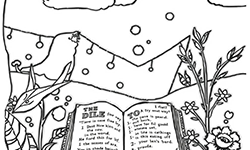 the bible for adults