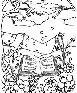 the bible for adults