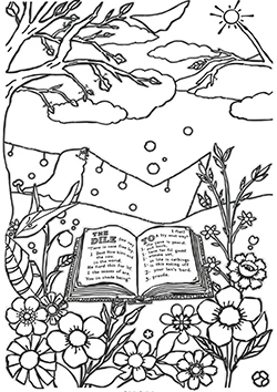 the bible for adults