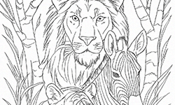 wild-animals