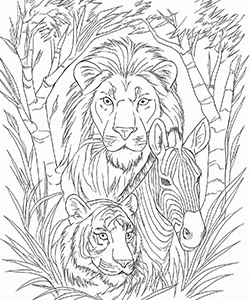 wild-animals