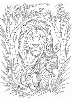wild-animals