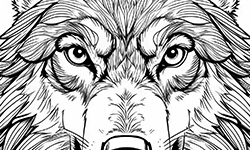 the face of a wolf