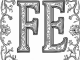 fe