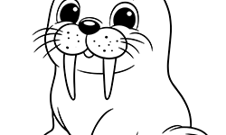 seal coloring page for kids