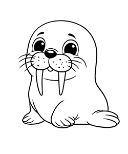 seal coloring page for kids