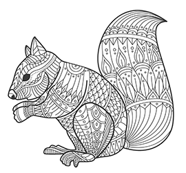 geometry for youth to coloring