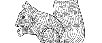 geometry for youth to coloring