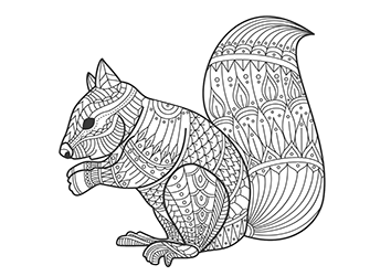 geometry for youth to coloring