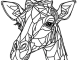 giraffe for youth to coloring