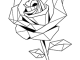 geometric rose for youth to coloring