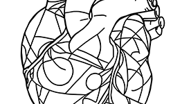 geometry for youth to coloring