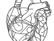 geometry for youth to coloring
