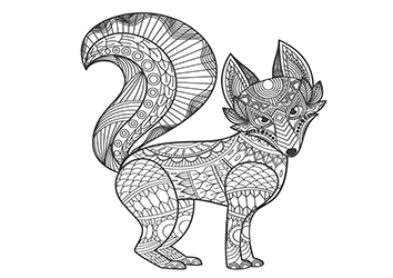 geometry fox to coloring