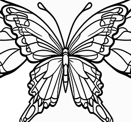 geometry for youth to coloring