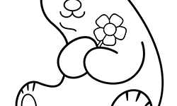 bear coloring page for kids