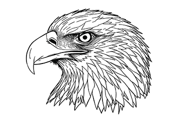 cabeza de aguila para colorear para jovenes