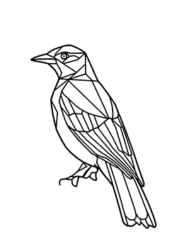 pajaro geometrico para colorear