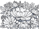 original mandalas for adults