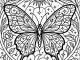 original mandalas for adults