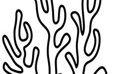 nature for kids to coloring